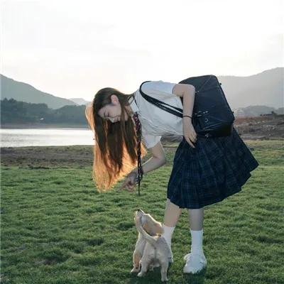 招惹玫瑰